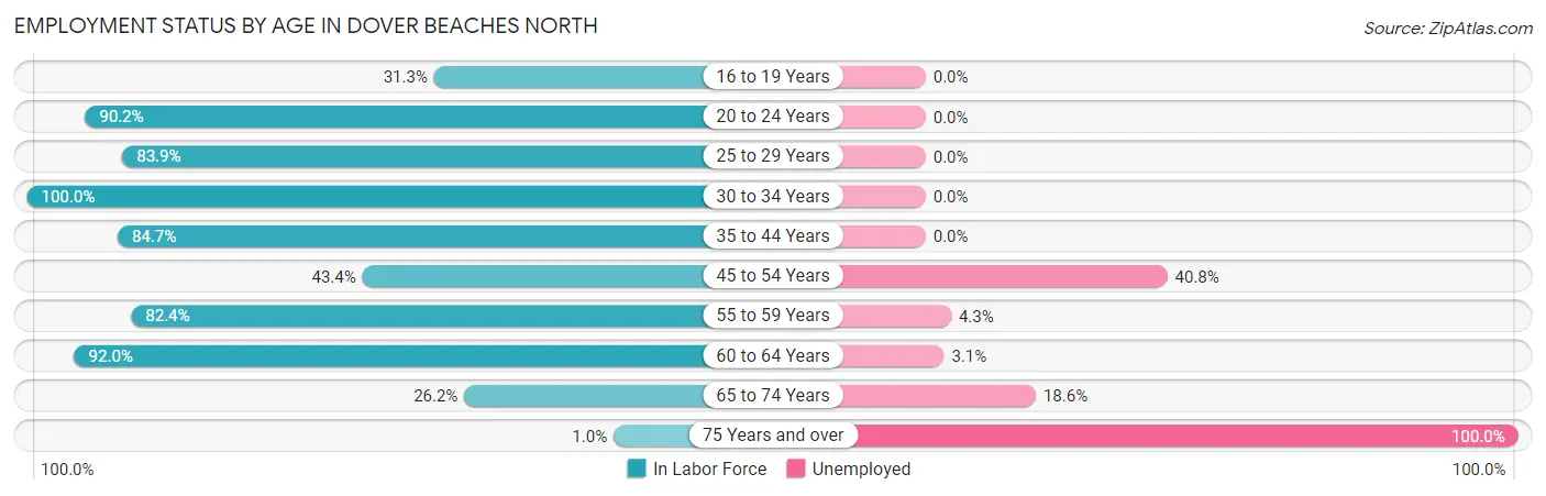 Employment Status by Age in Dover Beaches North