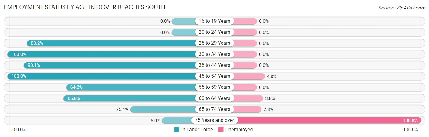 Employment Status by Age in Dover Beaches South