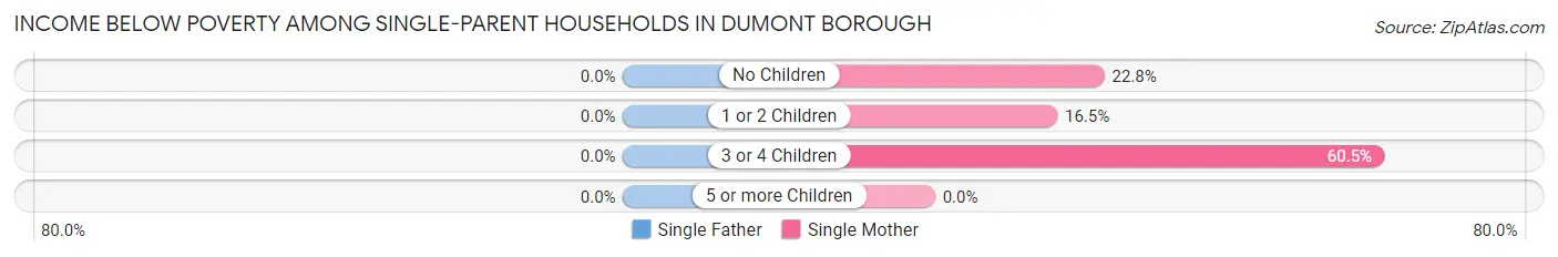Income Below Poverty Among Single-Parent Households in Dumont borough