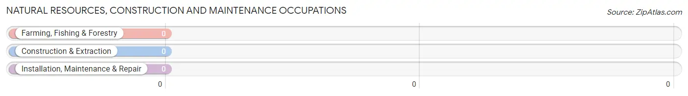 Natural Resources, Construction and Maintenance Occupations in East Rocky Hill