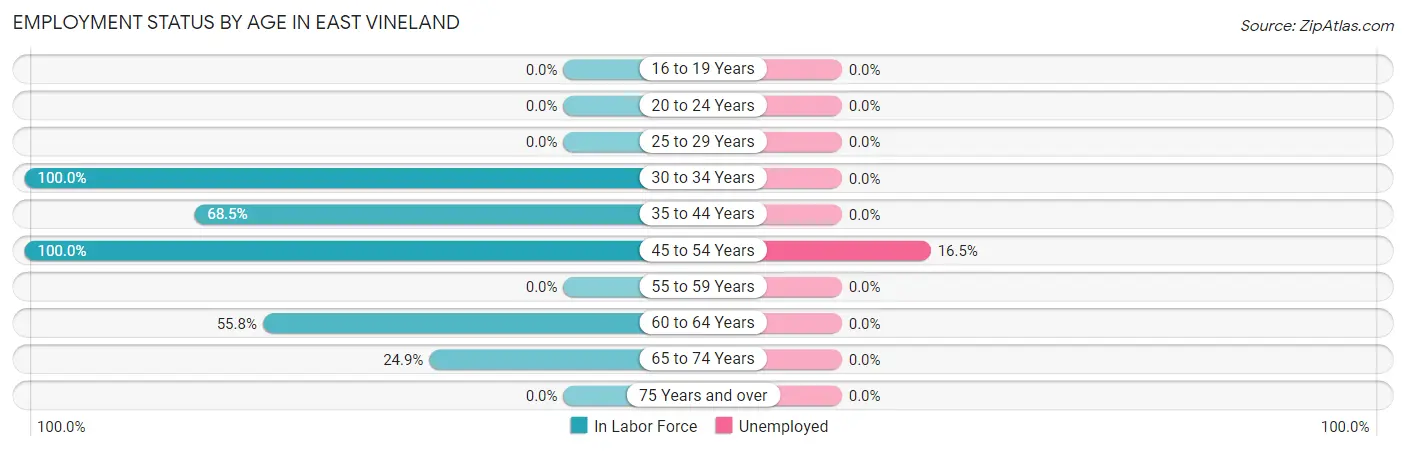 Employment Status by Age in East Vineland