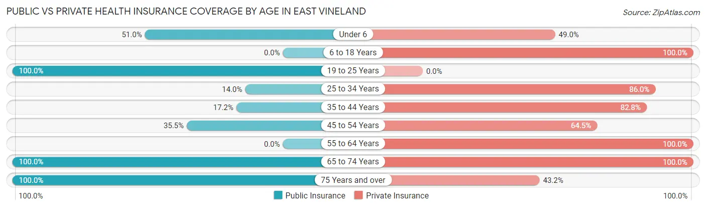 Public vs Private Health Insurance Coverage by Age in East Vineland