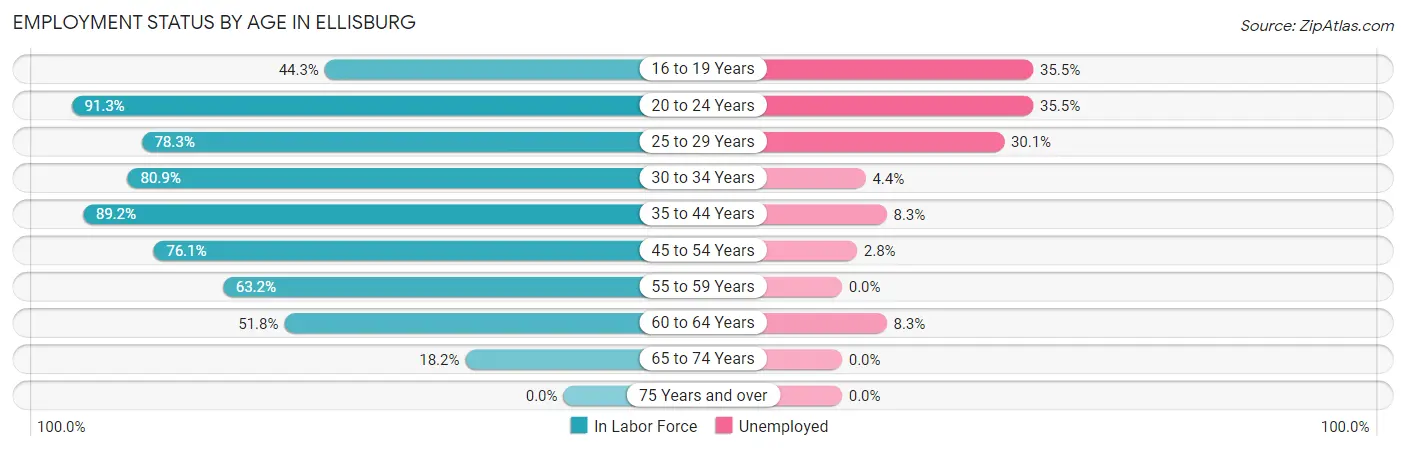 Employment Status by Age in Ellisburg