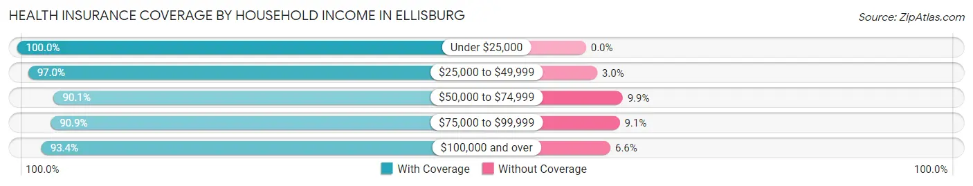 Health Insurance Coverage by Household Income in Ellisburg