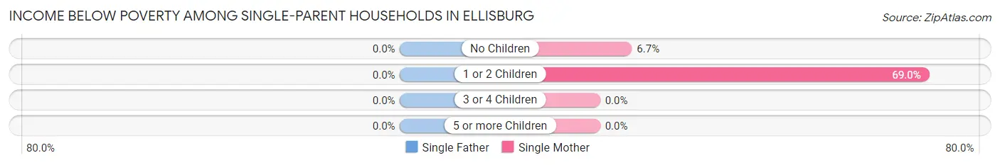 Income Below Poverty Among Single-Parent Households in Ellisburg
