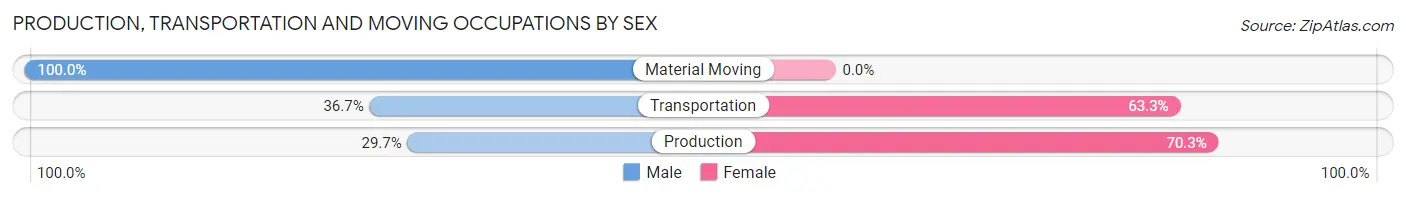 Production, Transportation and Moving Occupations by Sex in Ellisburg