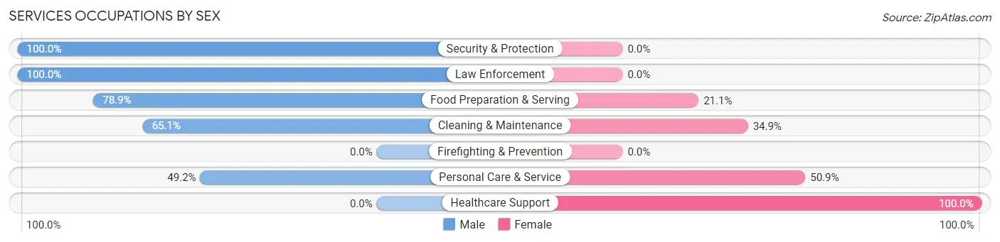 Services Occupations by Sex in Ellisburg