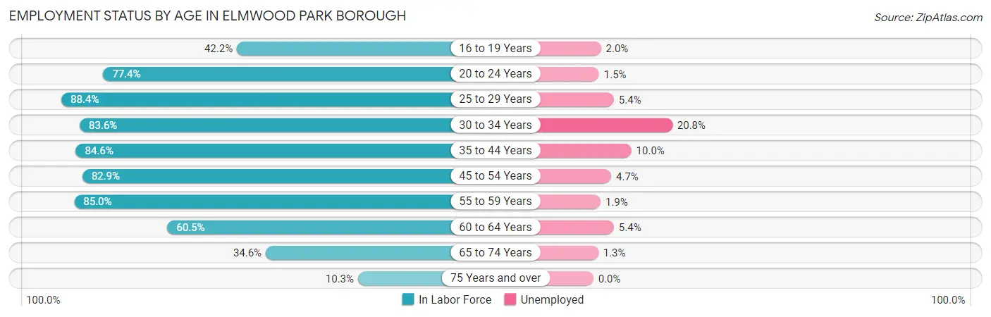 Employment Status by Age in Elmwood Park borough