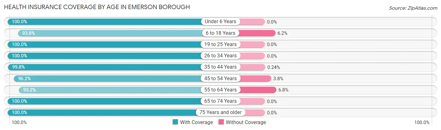 Health Insurance Coverage by Age in Emerson borough