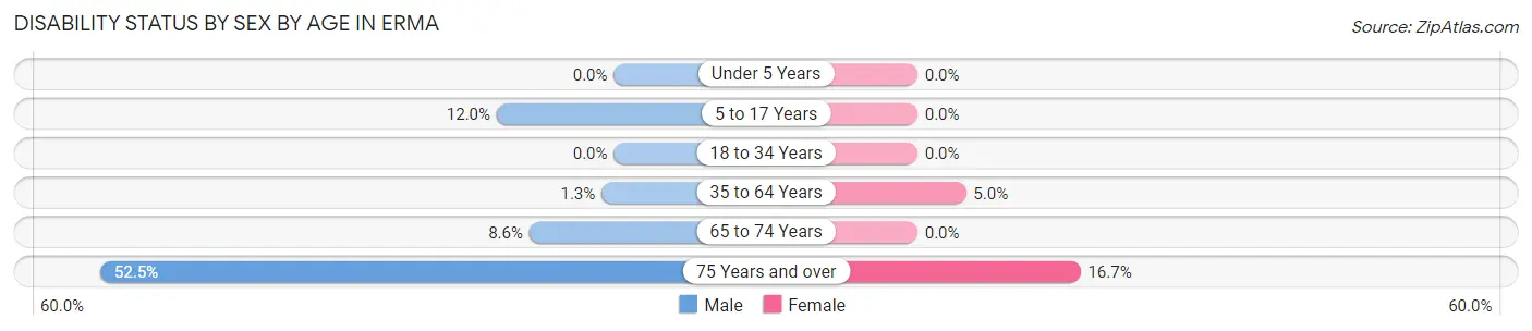 Disability Status by Sex by Age in Erma