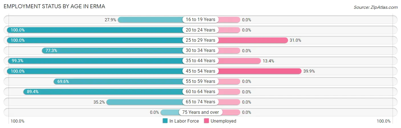 Employment Status by Age in Erma