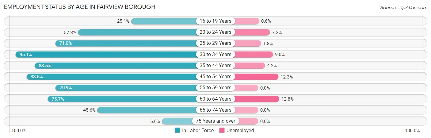 Employment Status by Age in Fairview borough