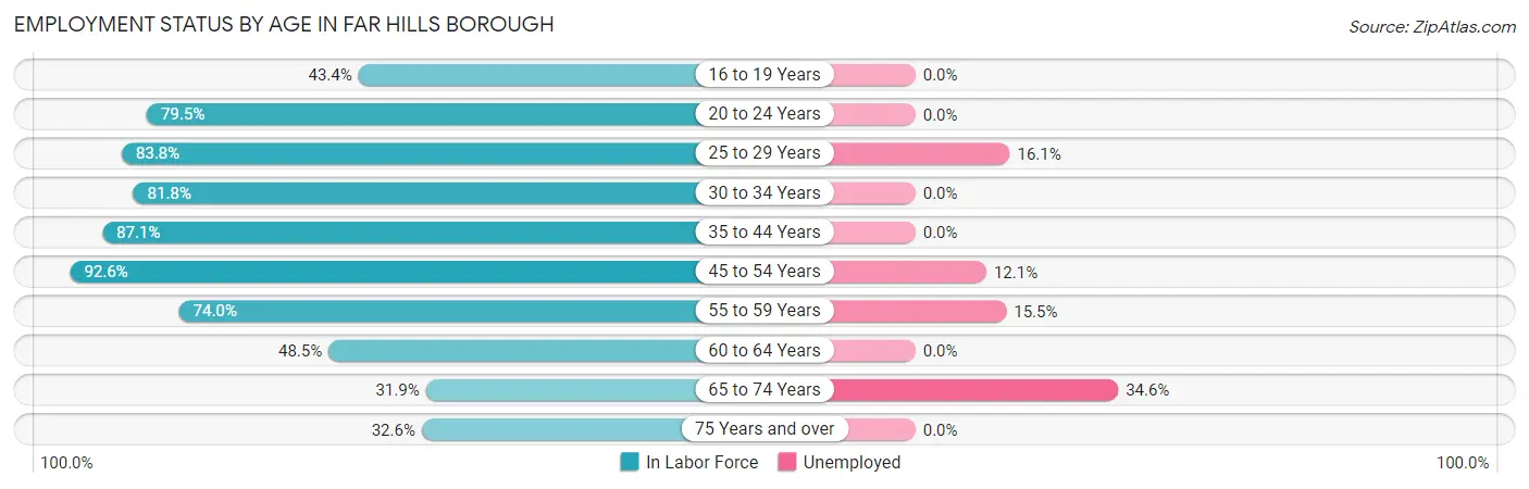 Employment Status by Age in Far Hills borough