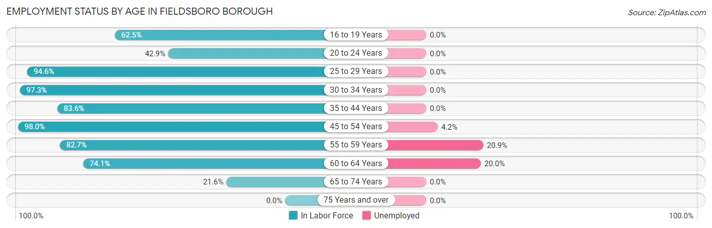 Employment Status by Age in Fieldsboro borough