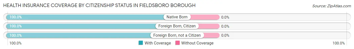 Health Insurance Coverage by Citizenship Status in Fieldsboro borough