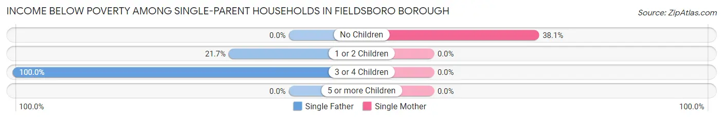 Income Below Poverty Among Single-Parent Households in Fieldsboro borough