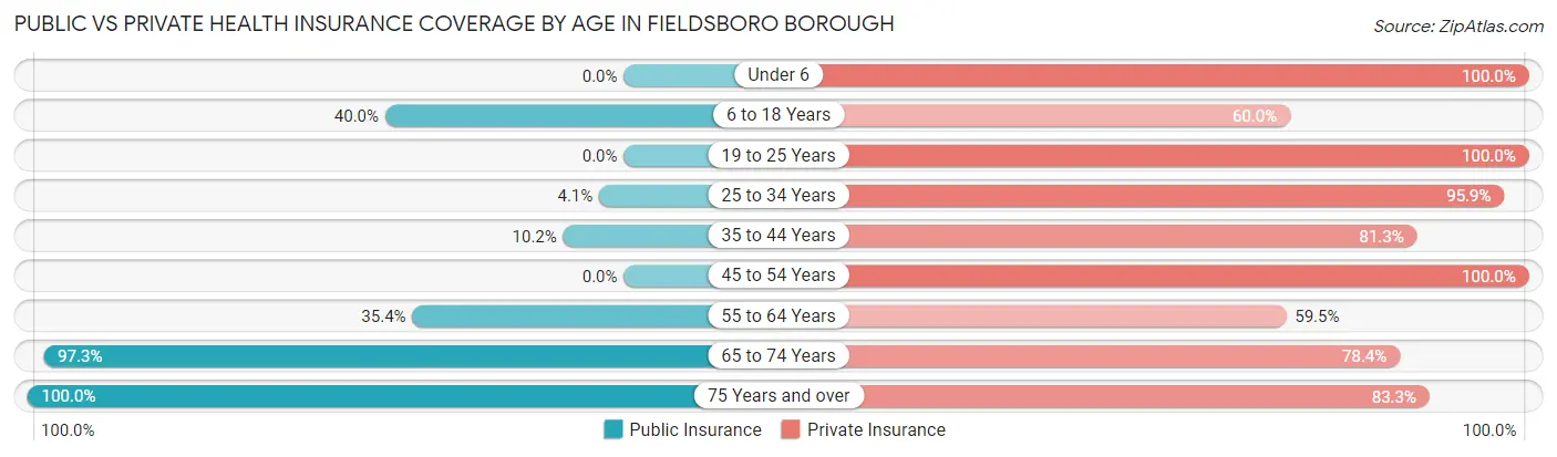 Public vs Private Health Insurance Coverage by Age in Fieldsboro borough