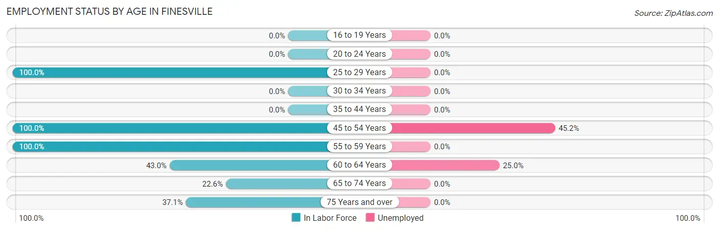 Employment Status by Age in Finesville
