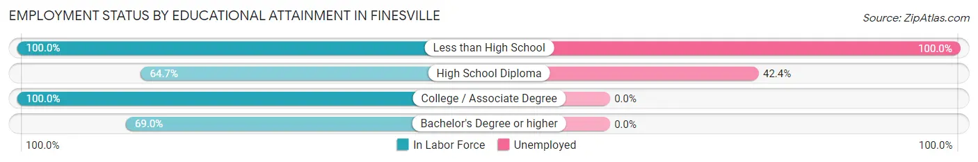 Employment Status by Educational Attainment in Finesville