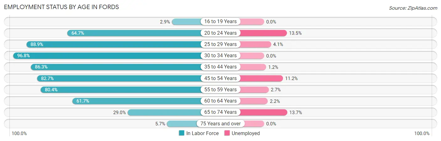 Employment Status by Age in Fords