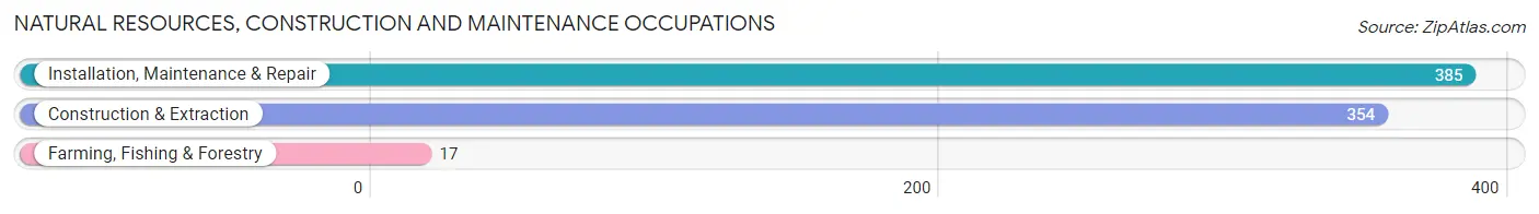 Natural Resources, Construction and Maintenance Occupations in Fort Lee borough