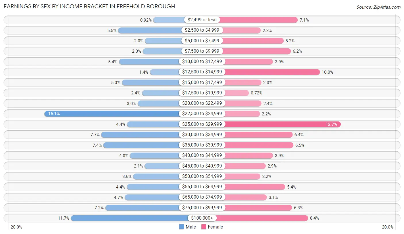 Earnings by Sex by Income Bracket in Freehold borough