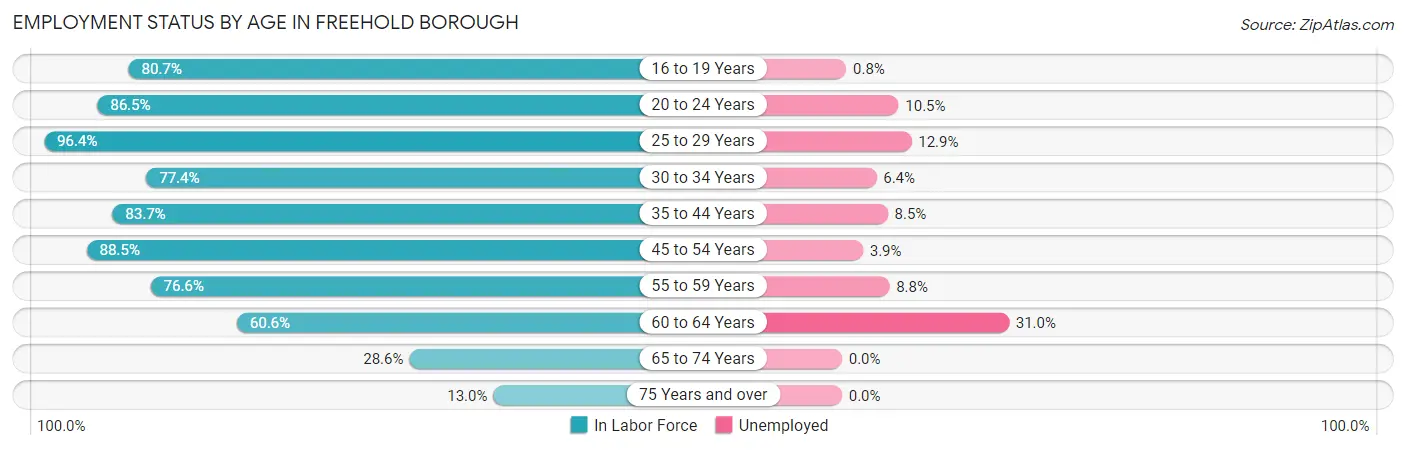 Employment Status by Age in Freehold borough