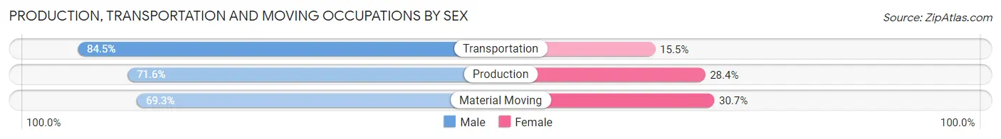 Production, Transportation and Moving Occupations by Sex in Freehold borough