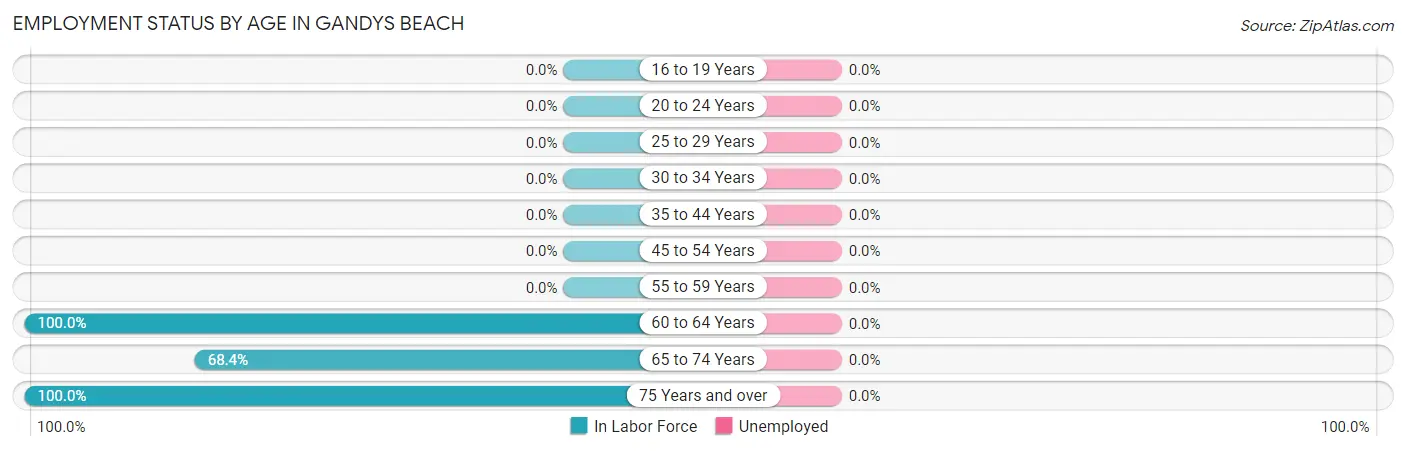 Employment Status by Age in Gandys Beach