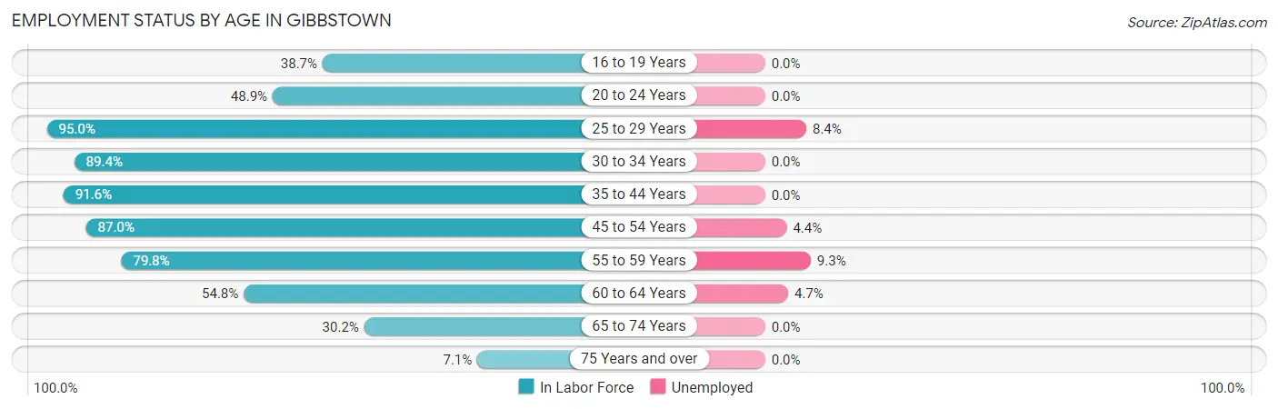 Employment Status by Age in Gibbstown