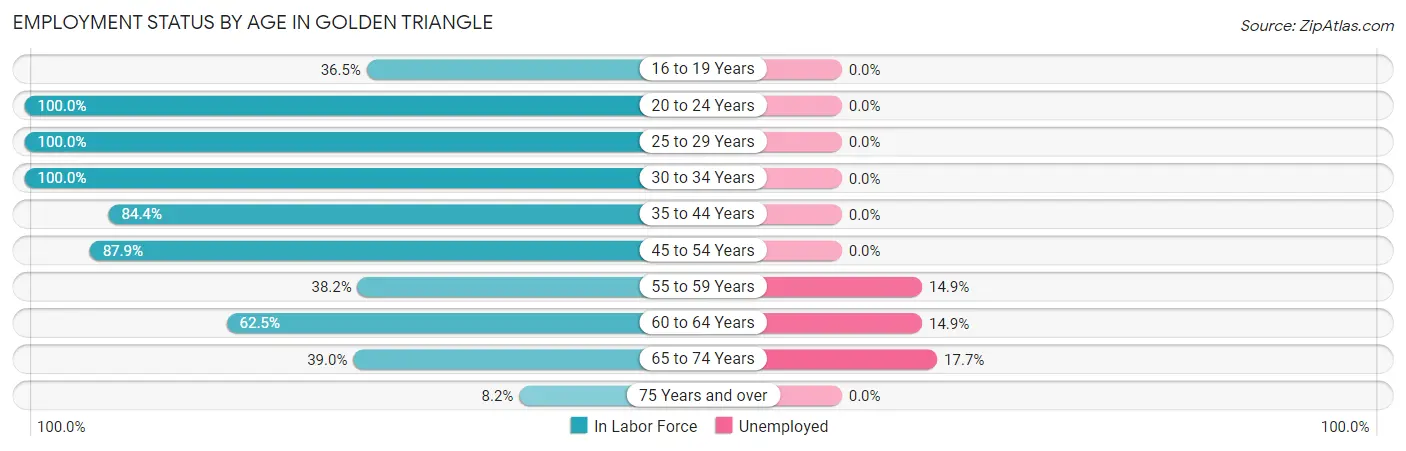 Employment Status by Age in Golden Triangle