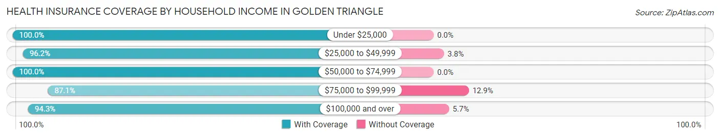Health Insurance Coverage by Household Income in Golden Triangle
