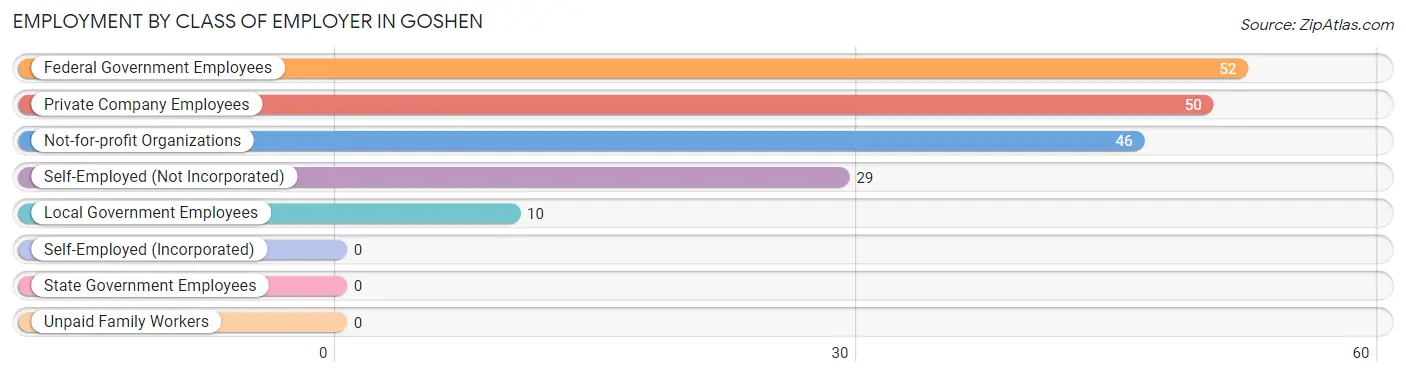 Employment by Class of Employer in Goshen