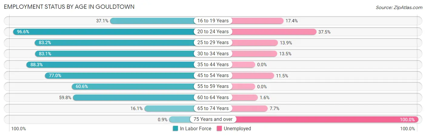 Employment Status by Age in Gouldtown