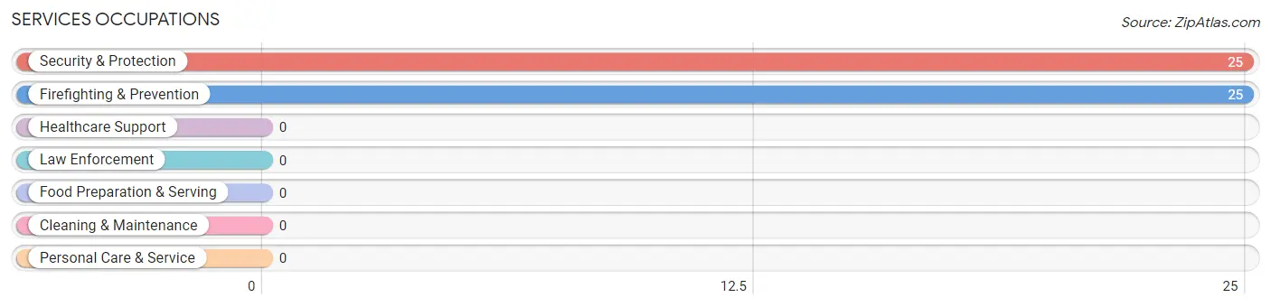 Services Occupations in Griggstown