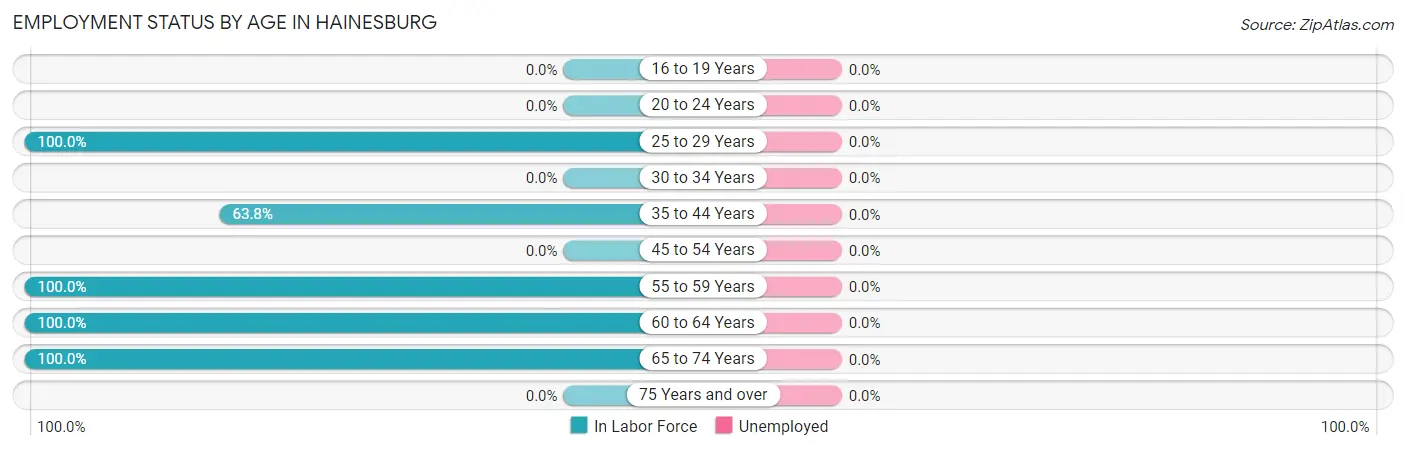 Employment Status by Age in Hainesburg