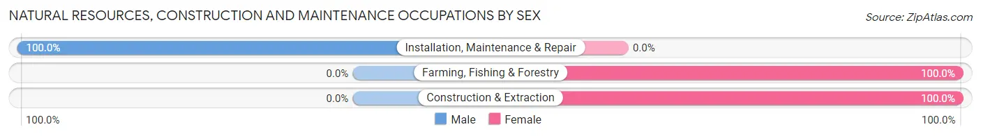Natural Resources, Construction and Maintenance Occupations by Sex in Hainesburg