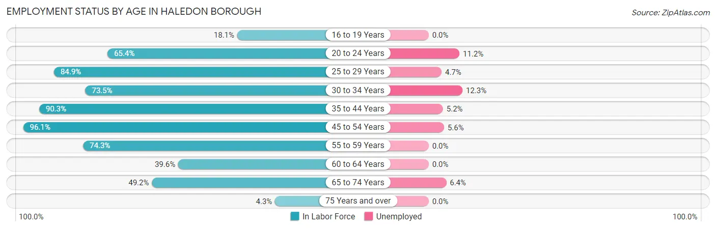 Employment Status by Age in Haledon borough