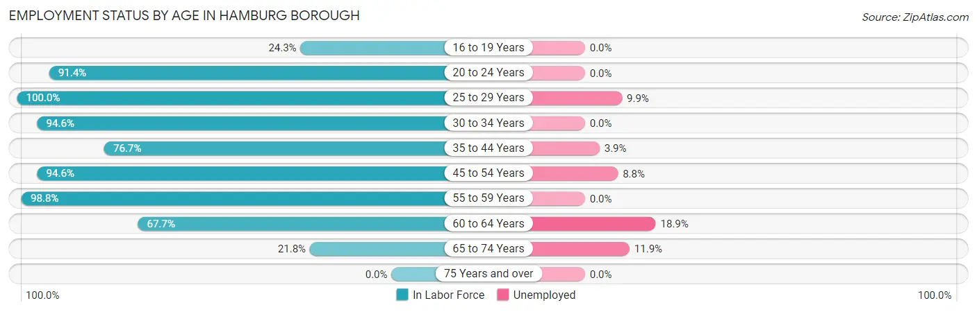 Employment Status by Age in Hamburg borough