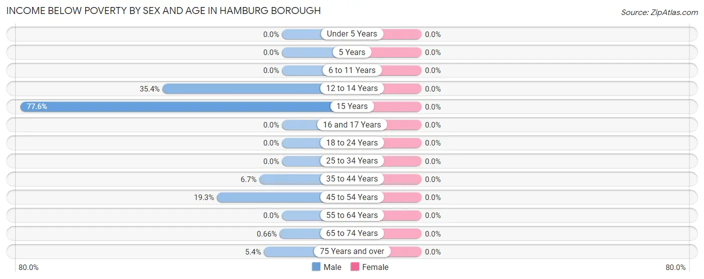 Income Below Poverty by Sex and Age in Hamburg borough