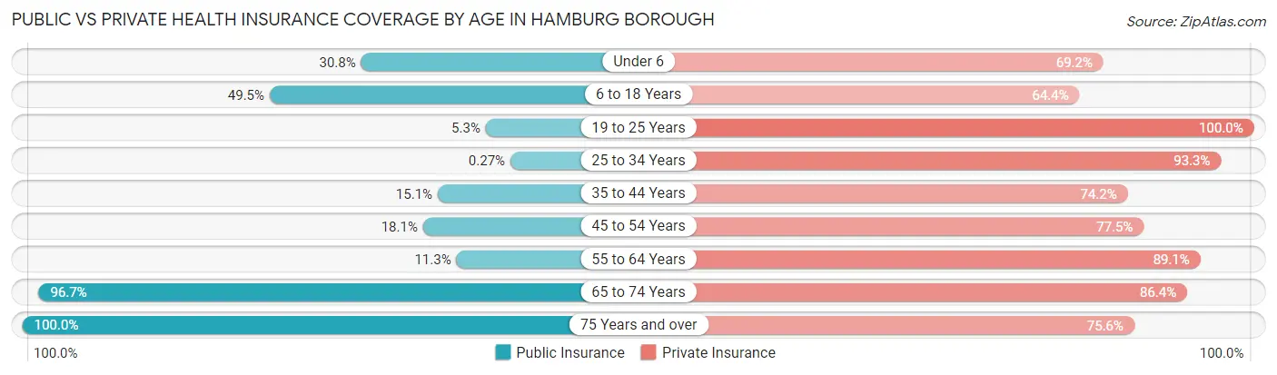 Public vs Private Health Insurance Coverage by Age in Hamburg borough