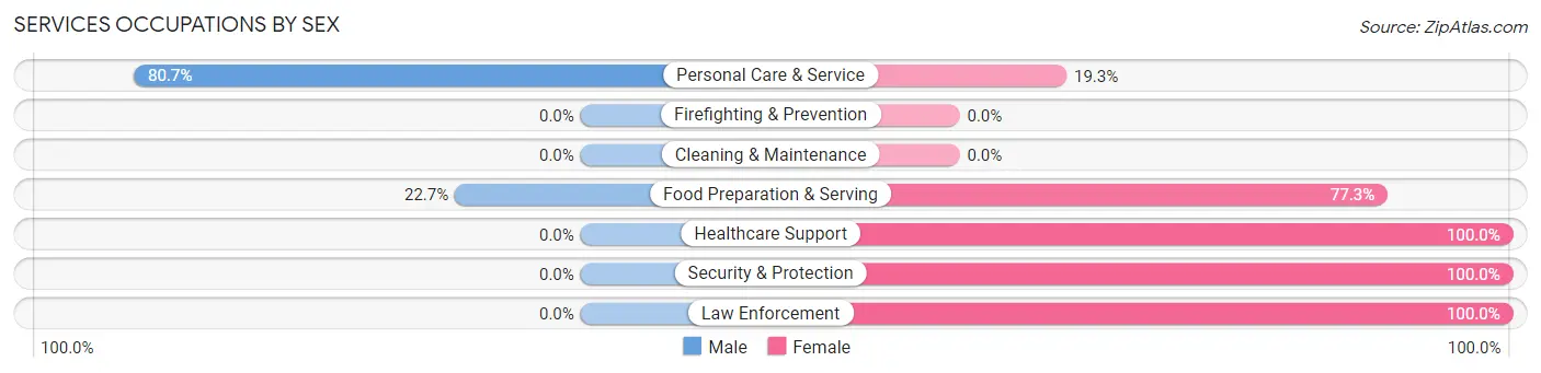 Services Occupations by Sex in Hamburg borough