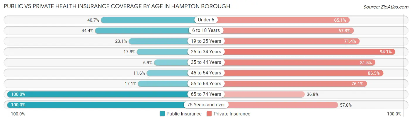 Public vs Private Health Insurance Coverage by Age in Hampton borough