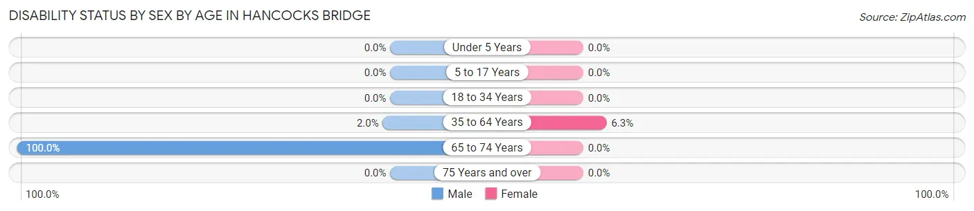 Disability Status by Sex by Age in Hancocks Bridge