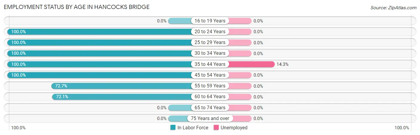 Employment Status by Age in Hancocks Bridge