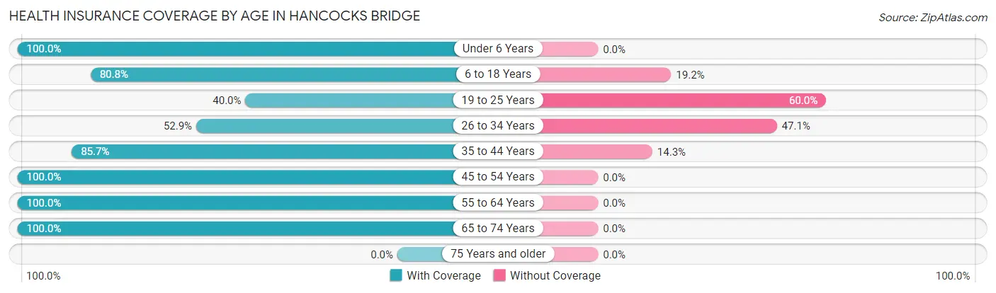 Health Insurance Coverage by Age in Hancocks Bridge