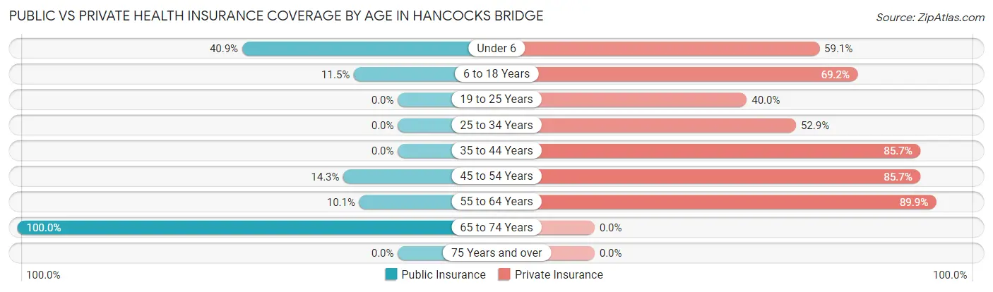 Public vs Private Health Insurance Coverage by Age in Hancocks Bridge