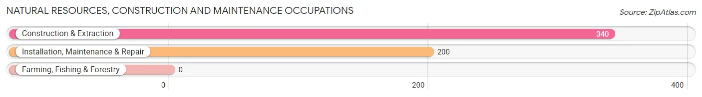 Natural Resources, Construction and Maintenance Occupations in Hawthorne borough