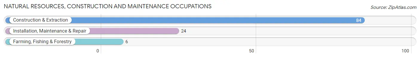 Natural Resources, Construction and Maintenance Occupations in Helmetta borough