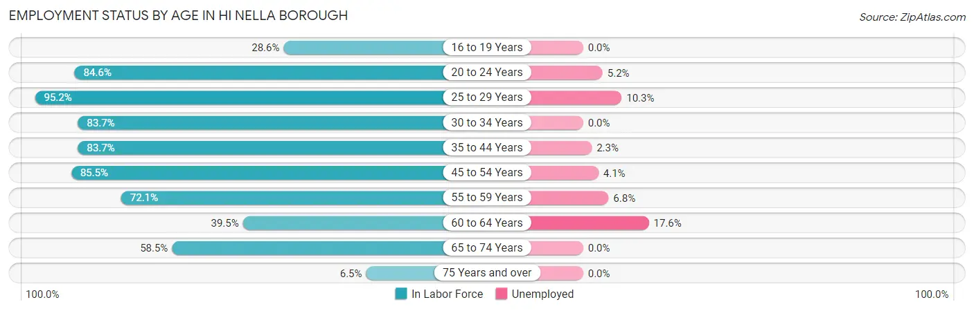 Employment Status by Age in Hi Nella borough